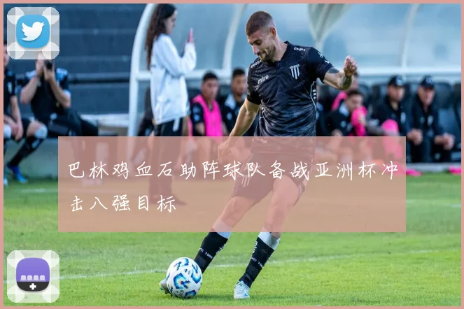 巴林鸡血石助阵球队备战亚洲杯冲击八强目标
