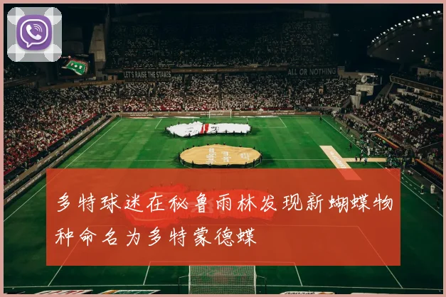 多特球迷在秘鲁雨林发现新蝴蝶物种命名为多特蒙德蝶